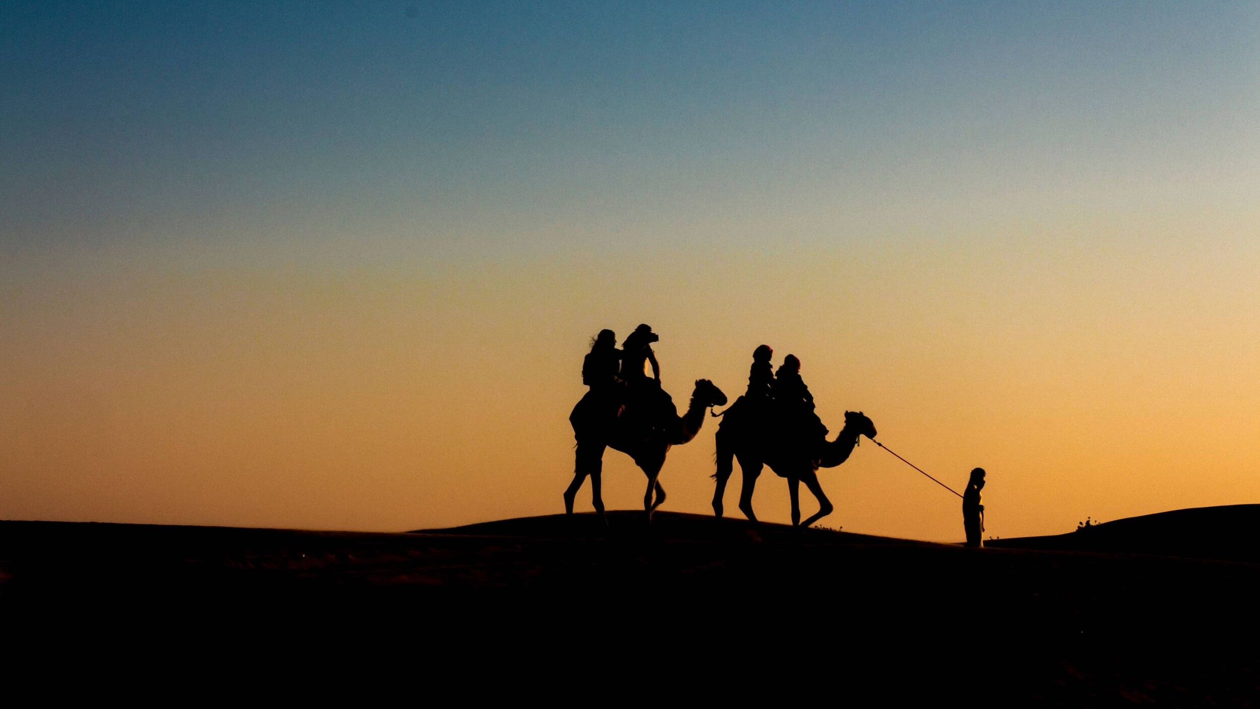 Dubai_Kamele_unsplash_2
