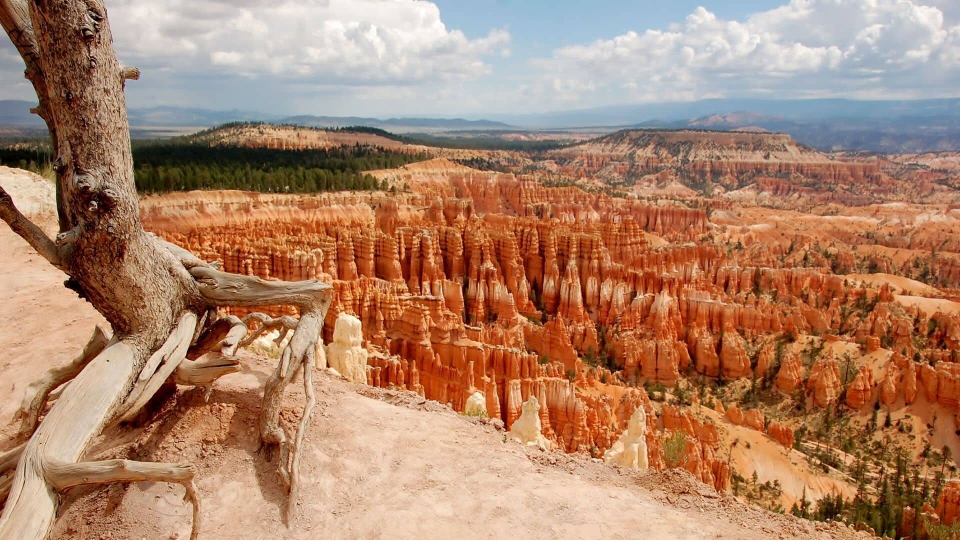 USA_Bryce_Canyon_Privatbild_Frey_1