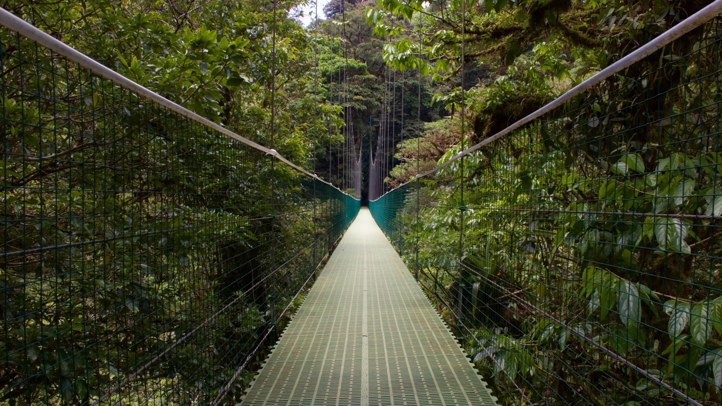Monteverde_leslie-cross-qrNjBApCZBM-unsplash