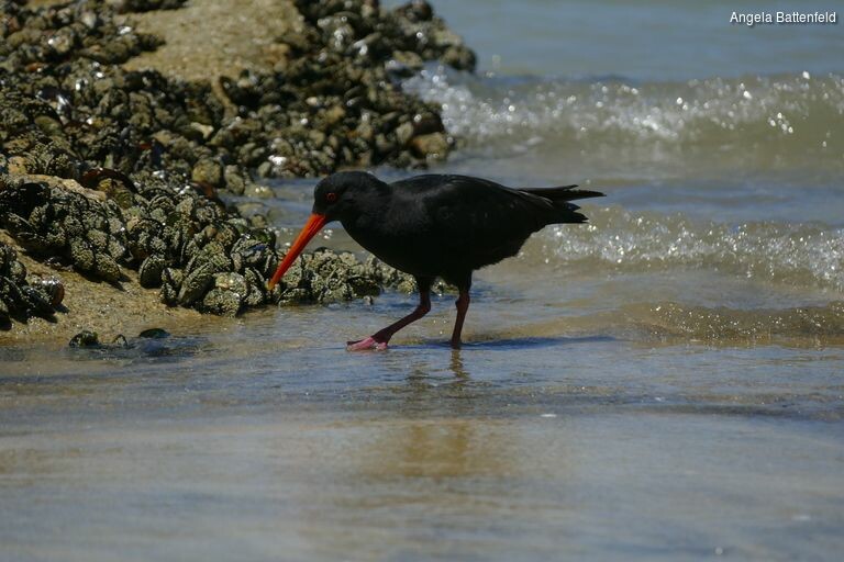 5dorldl69_rectangle-768x768-0x0-0x0