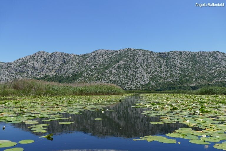 5c56f3f70_rectangle-768x768-0x0-0x0