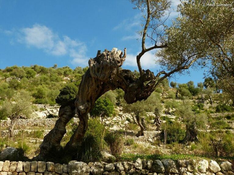 58v2trmyk_rectangle-768x768-0x0-0x0