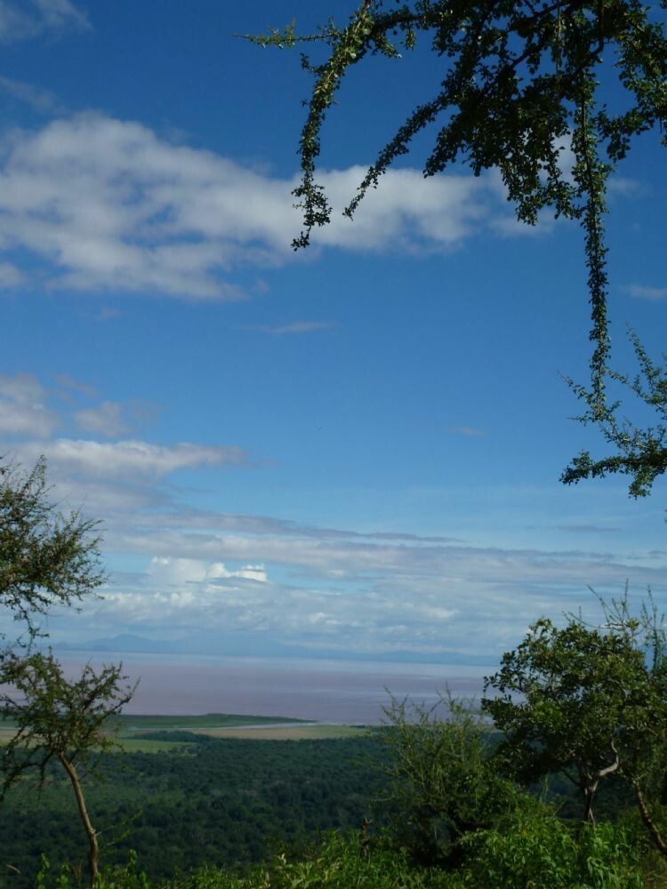 Tansania_Zanzibar_2013_371(1)