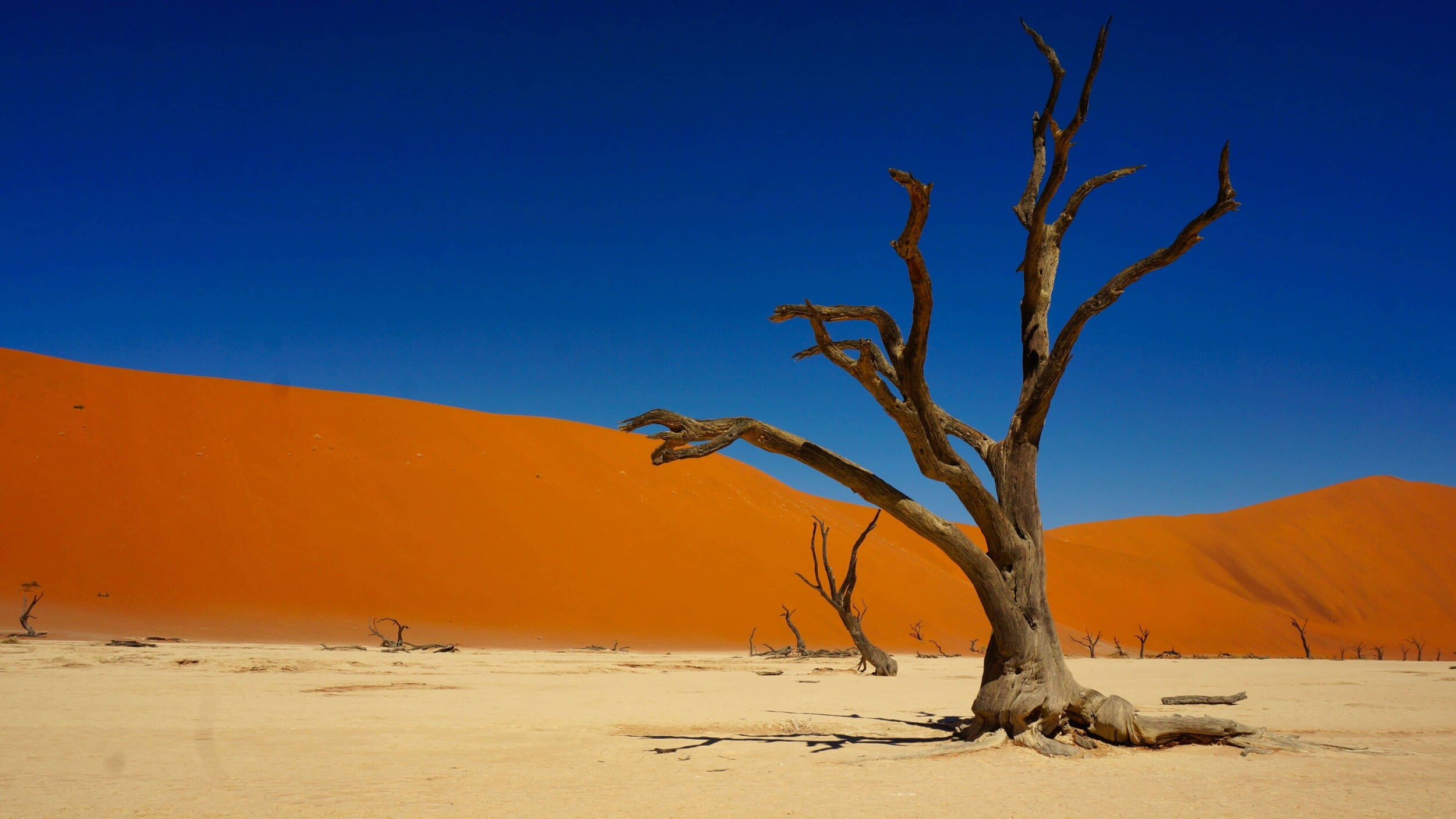 Namibia_Deadvlei_sean-robertson-M6xllhci484-unsplash_1