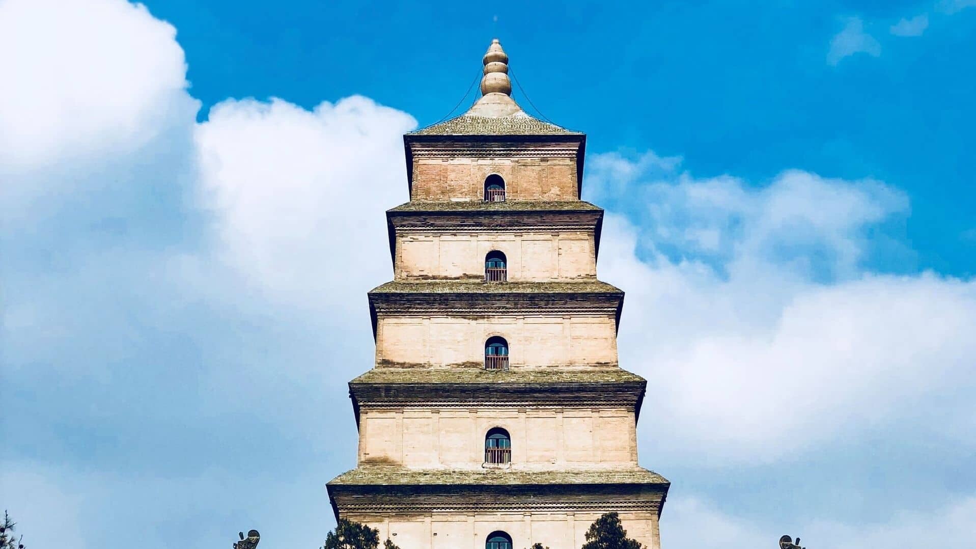 China_Xian_Wildgans_geng-zhang-JhUuWCPgw88-unsplash_1