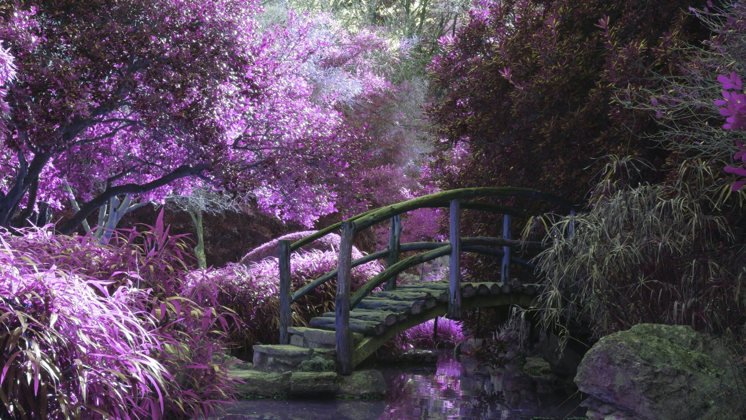 ShanghaiYuGarden