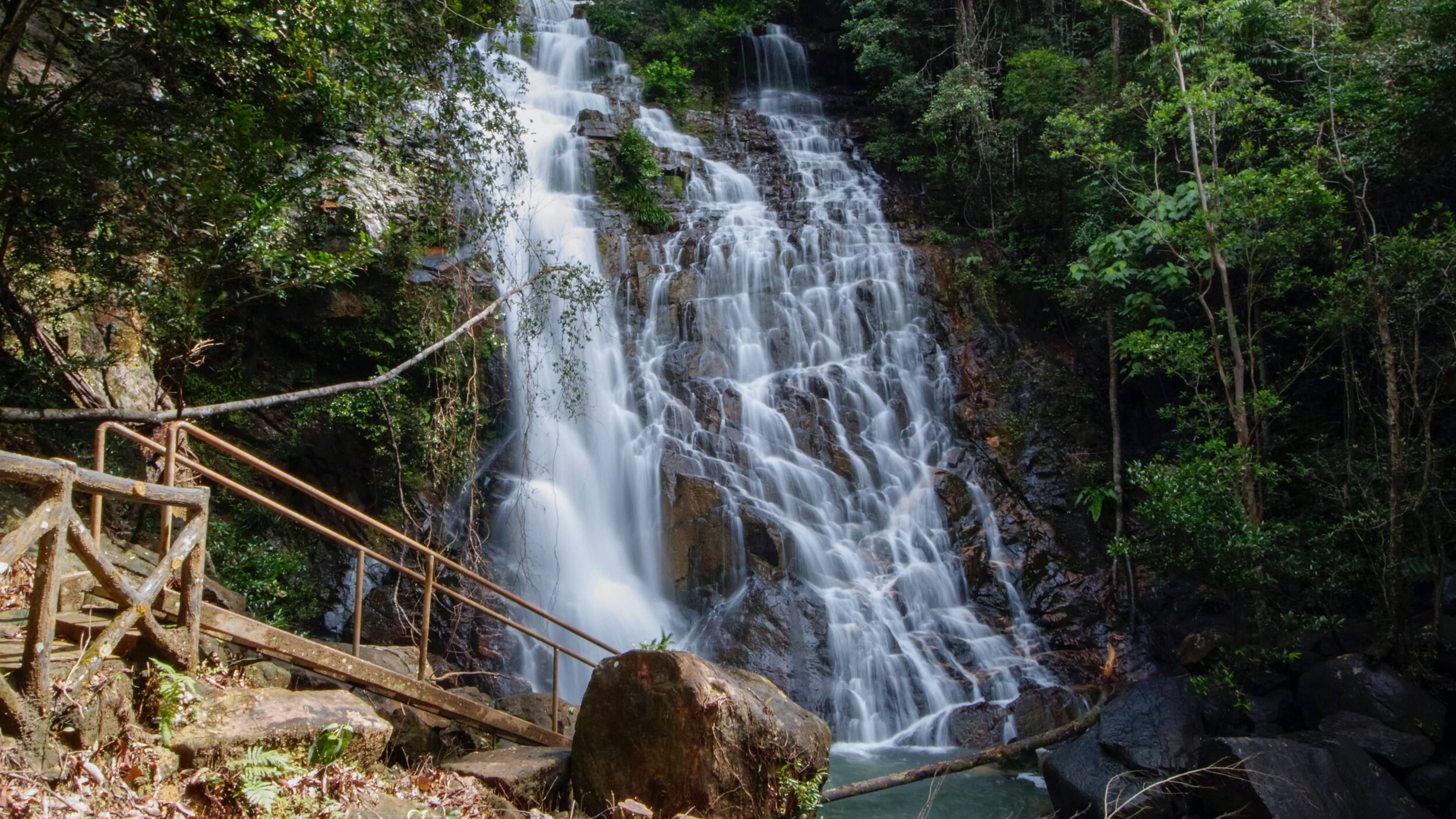 TamanNegara_james-lo-98WZcfKIBNs-unsplash
