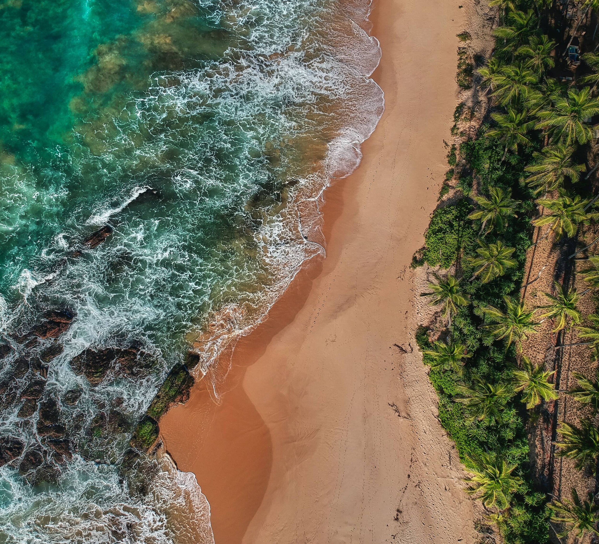 Sri_Lanka_Strand_michael-hacker-VCksv_sJ9hM-unsplash