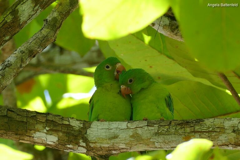 5khb20rnb_rectangle-768x768-0x0-0x0