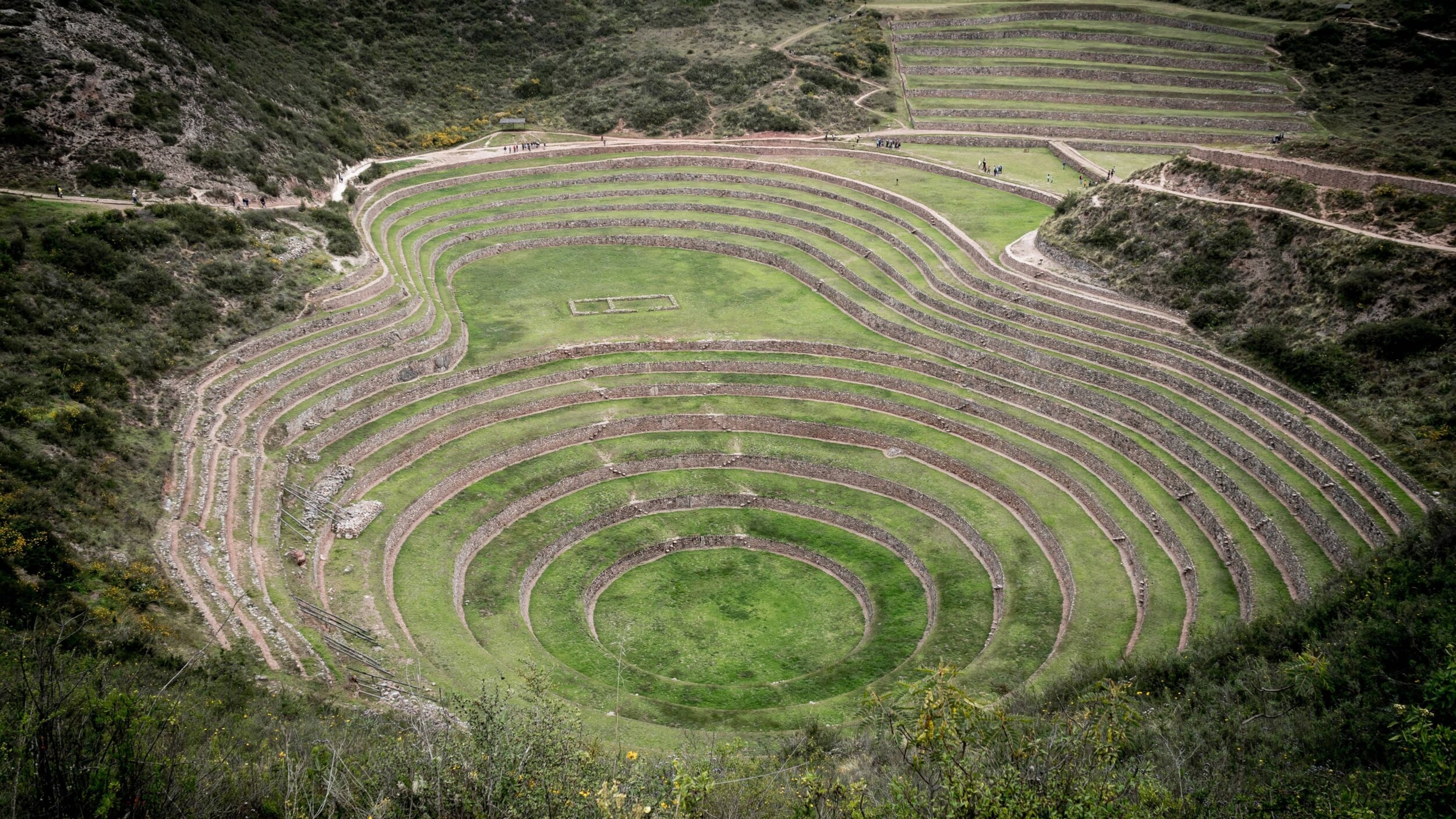 Moray_willian-justen-de-vasconcellos-C0EalCIxHnc-unsplash(1)