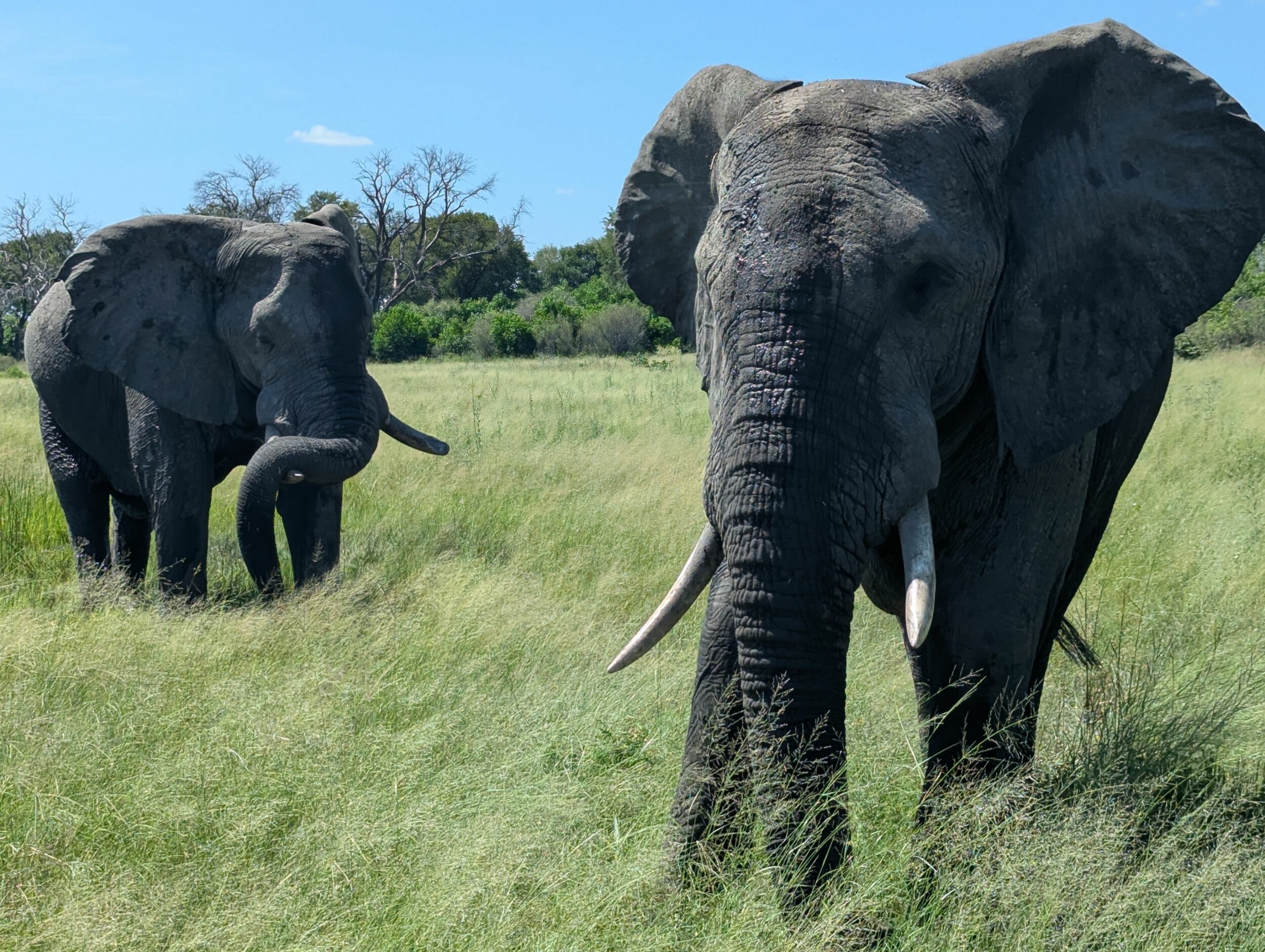 PXL_20250315_085952560_1