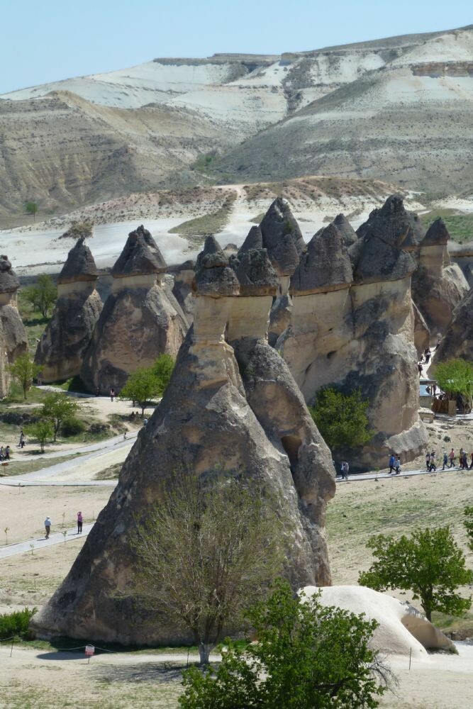 2012-04-20_001_2012-04-20_441