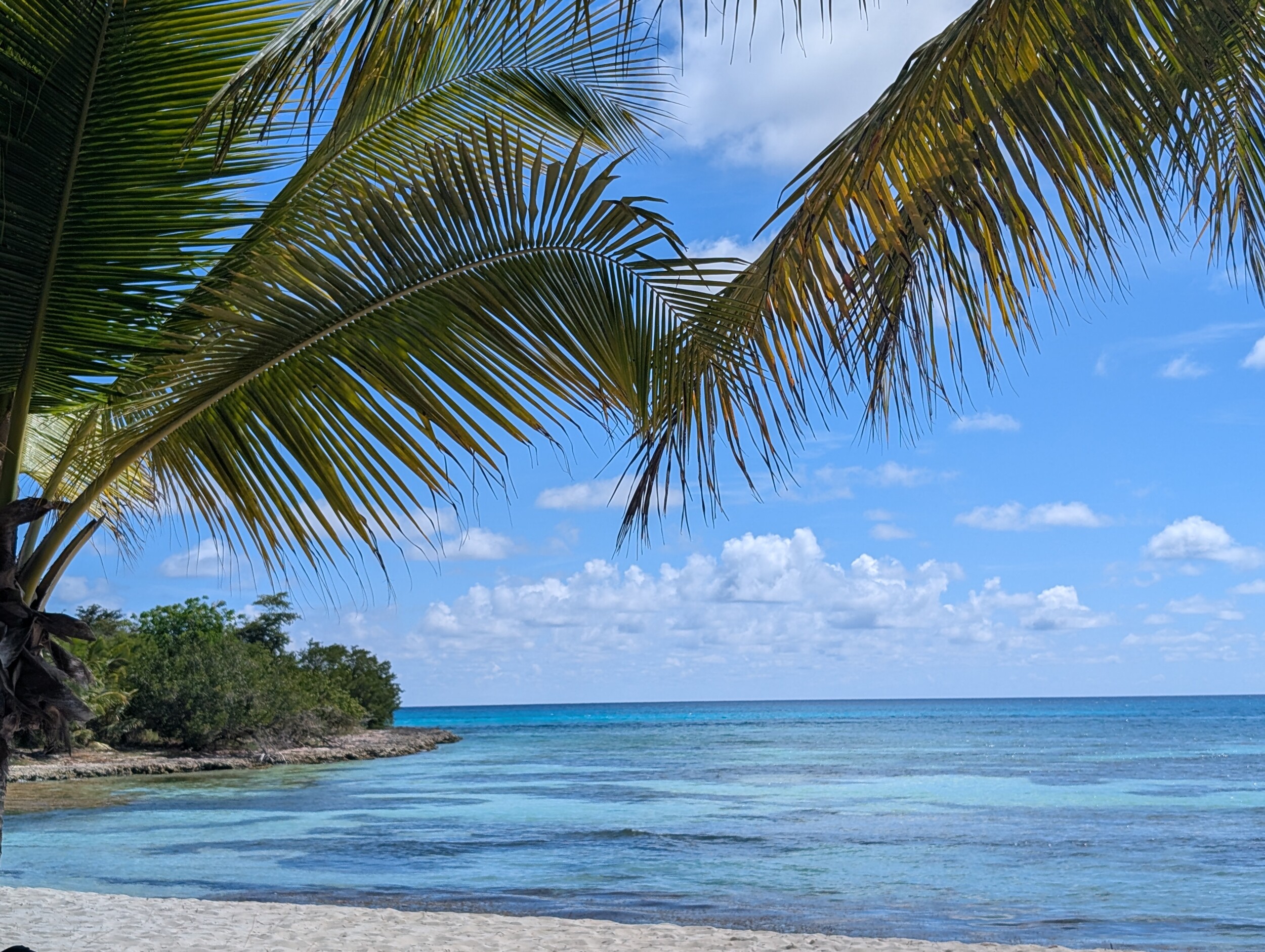 Amina-Hasanova-Saona