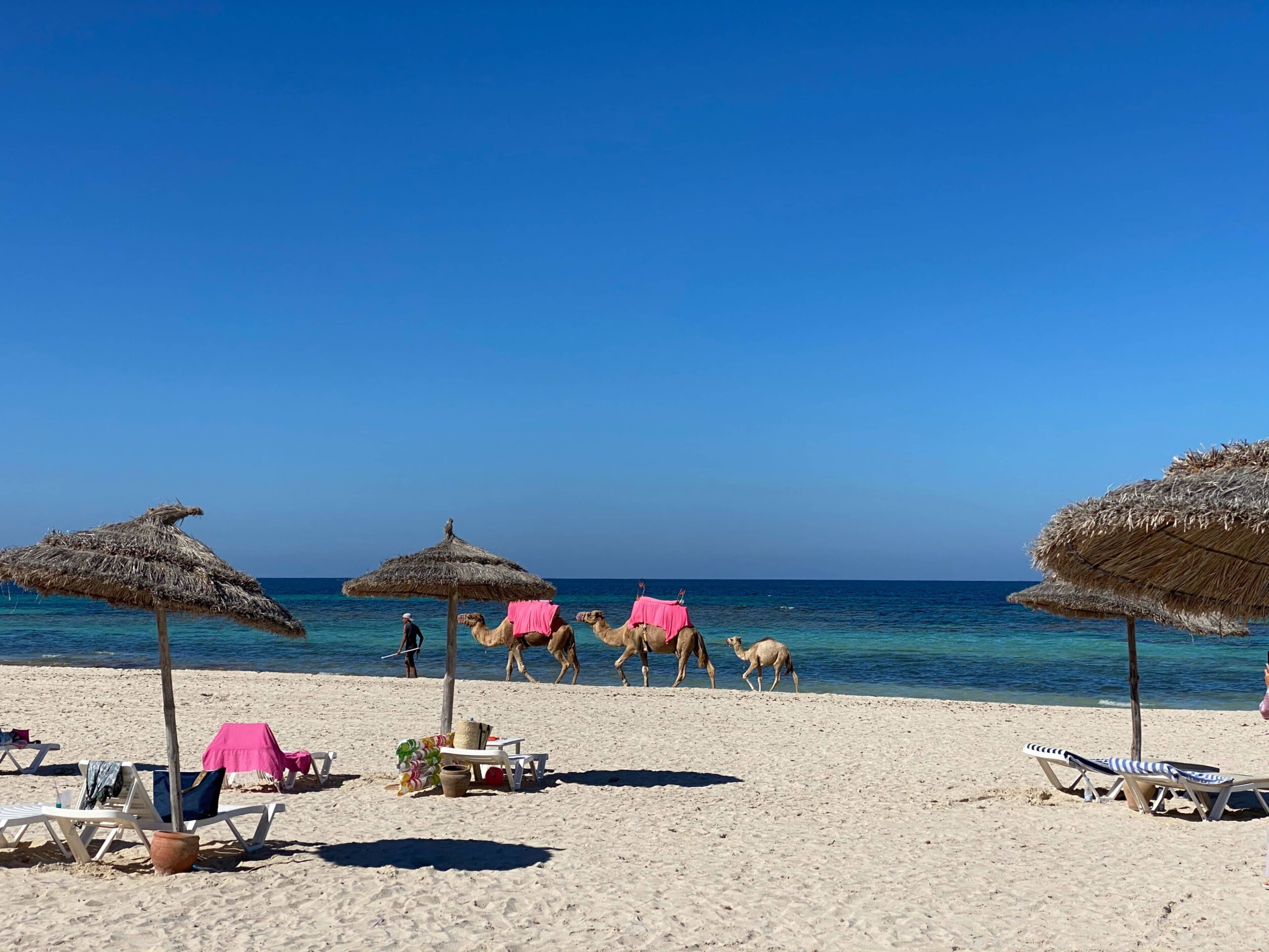 Djerba_aleksandr-sali-yoiHCafV7Vw-unsplash