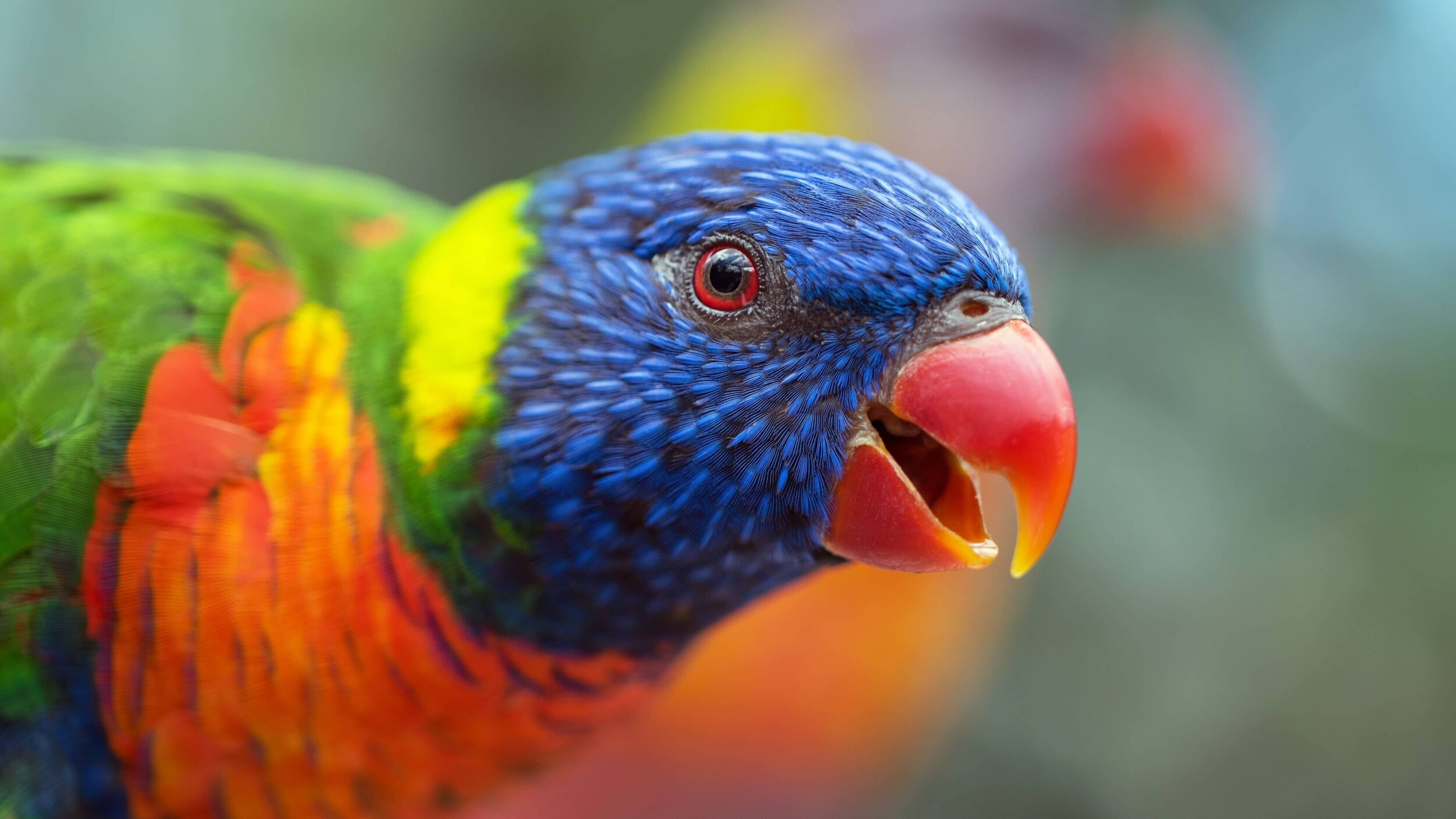 david-clode-viaVyC8dL4A-unsplash_1