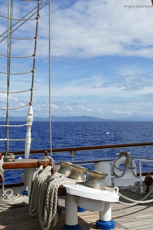 starflyer2015001_rectangle-768x768-0x0-0x0