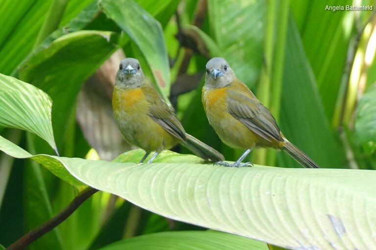 5khb1u763_rectangle-768x768-0x0-0x0