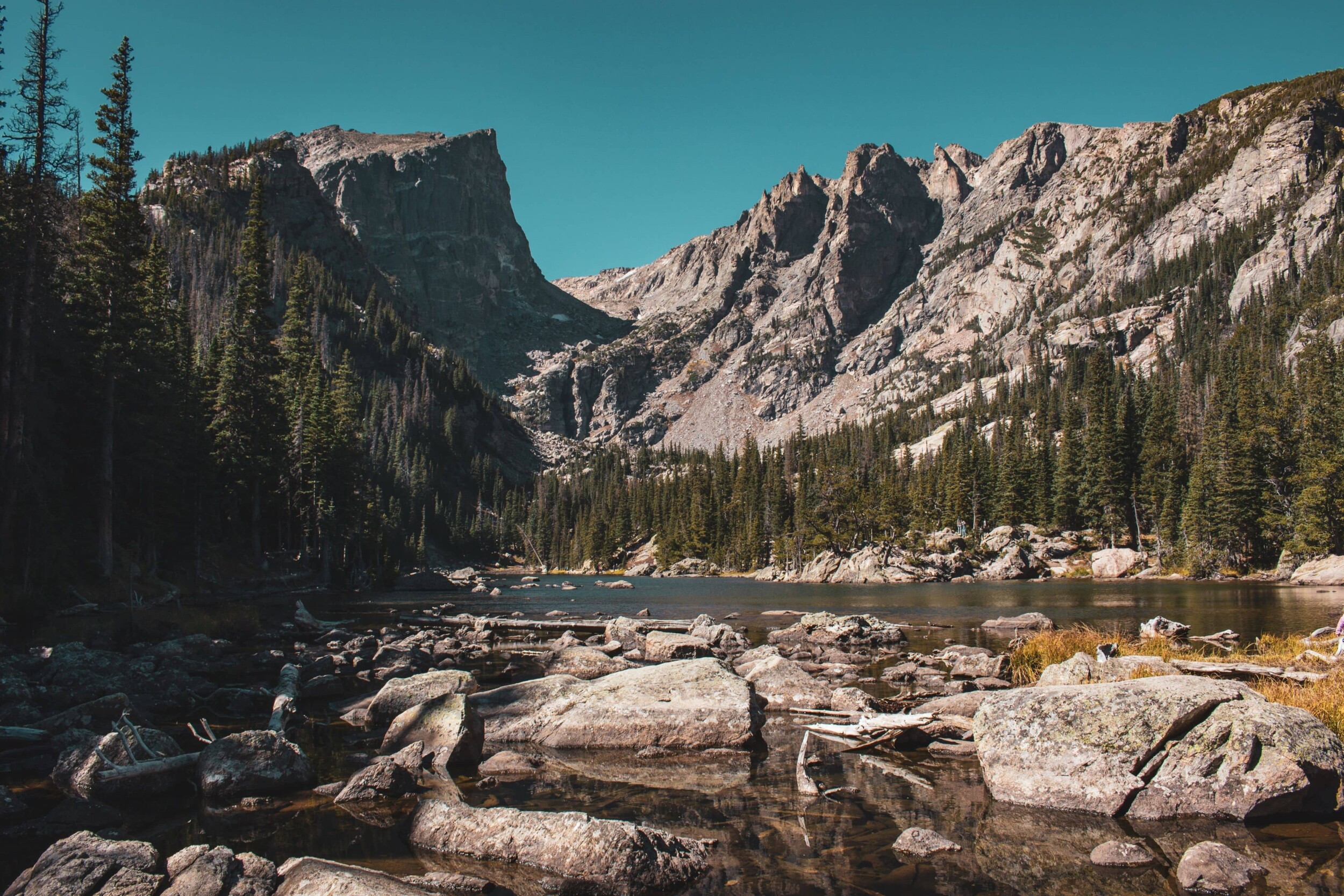 hunter-james-sXDffkOORVw-unsplash