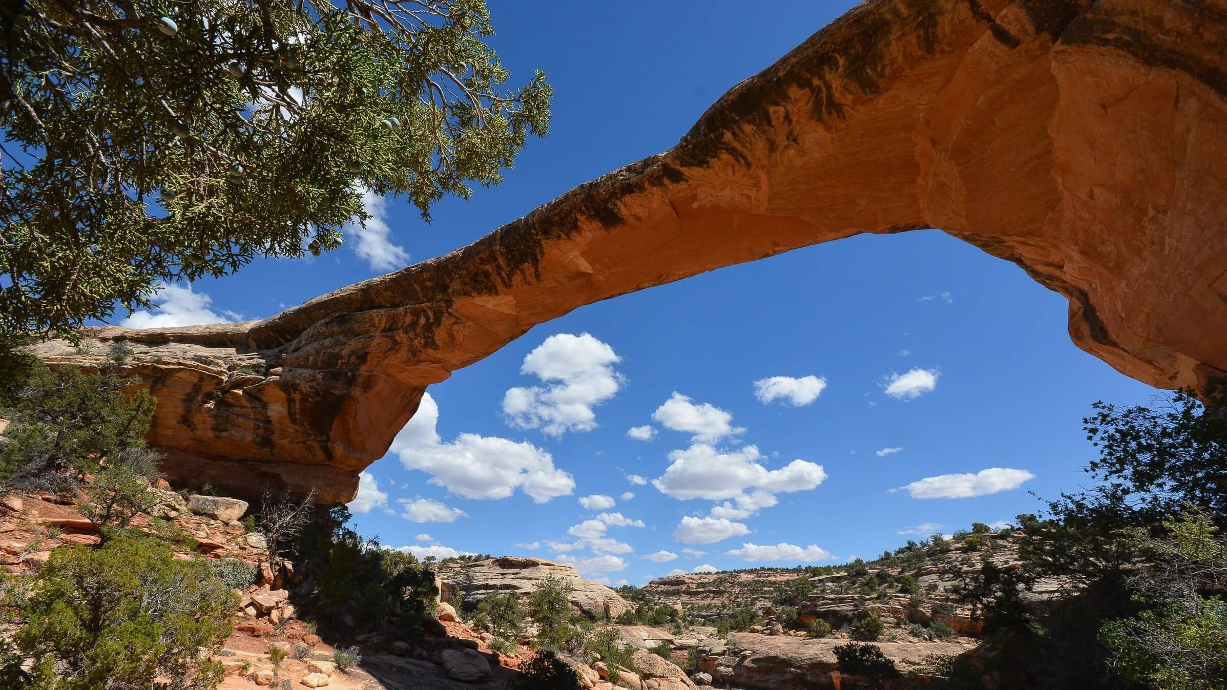 USA_Utah_Naturla_Bridges_hugo-kruip-UYoLOPzv_t4-unsplash_1