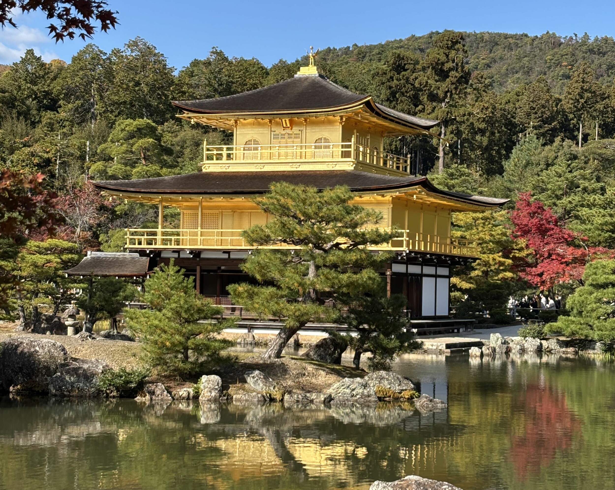 Japna_MicolMG_8169quer