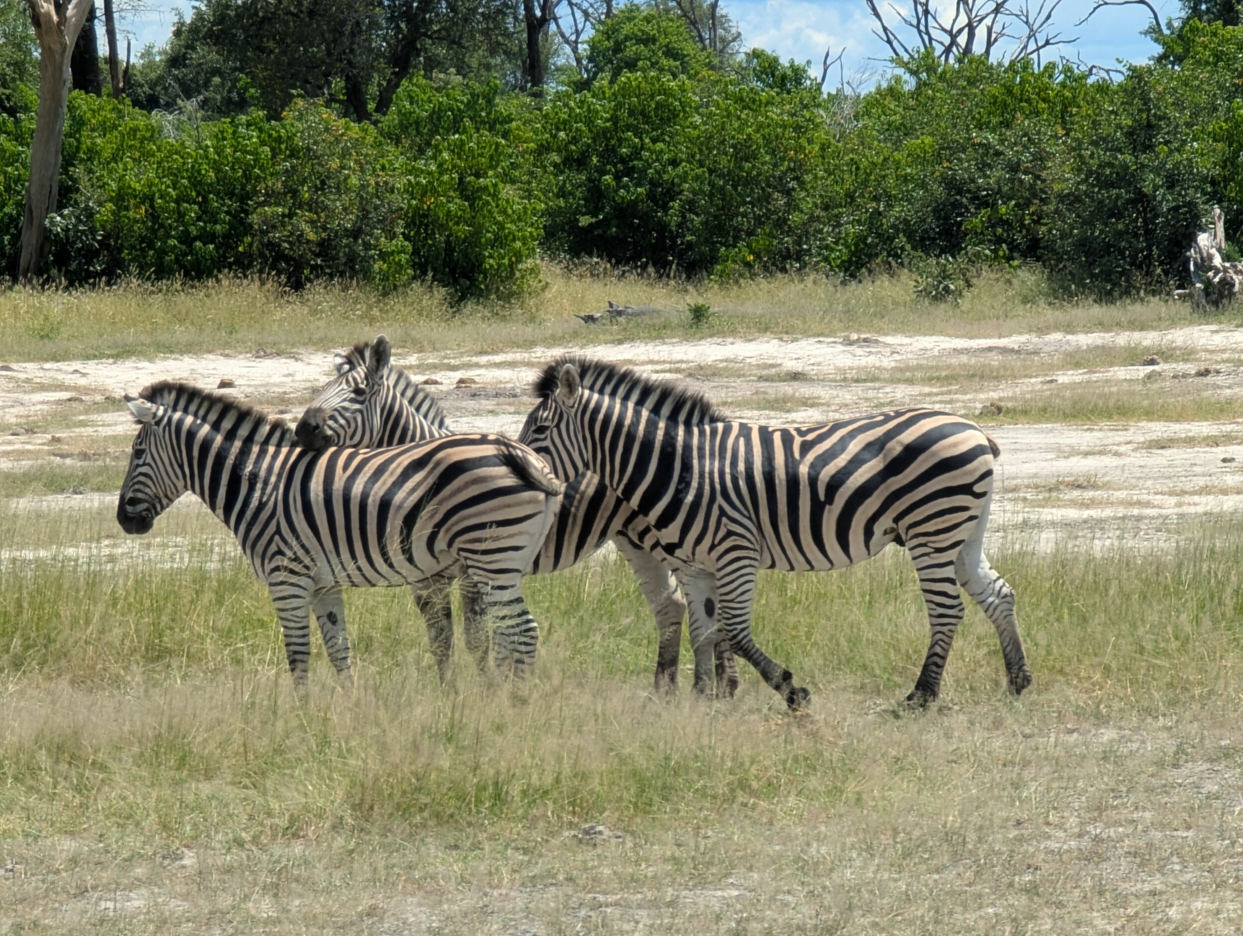 PXL_20250314_110741815