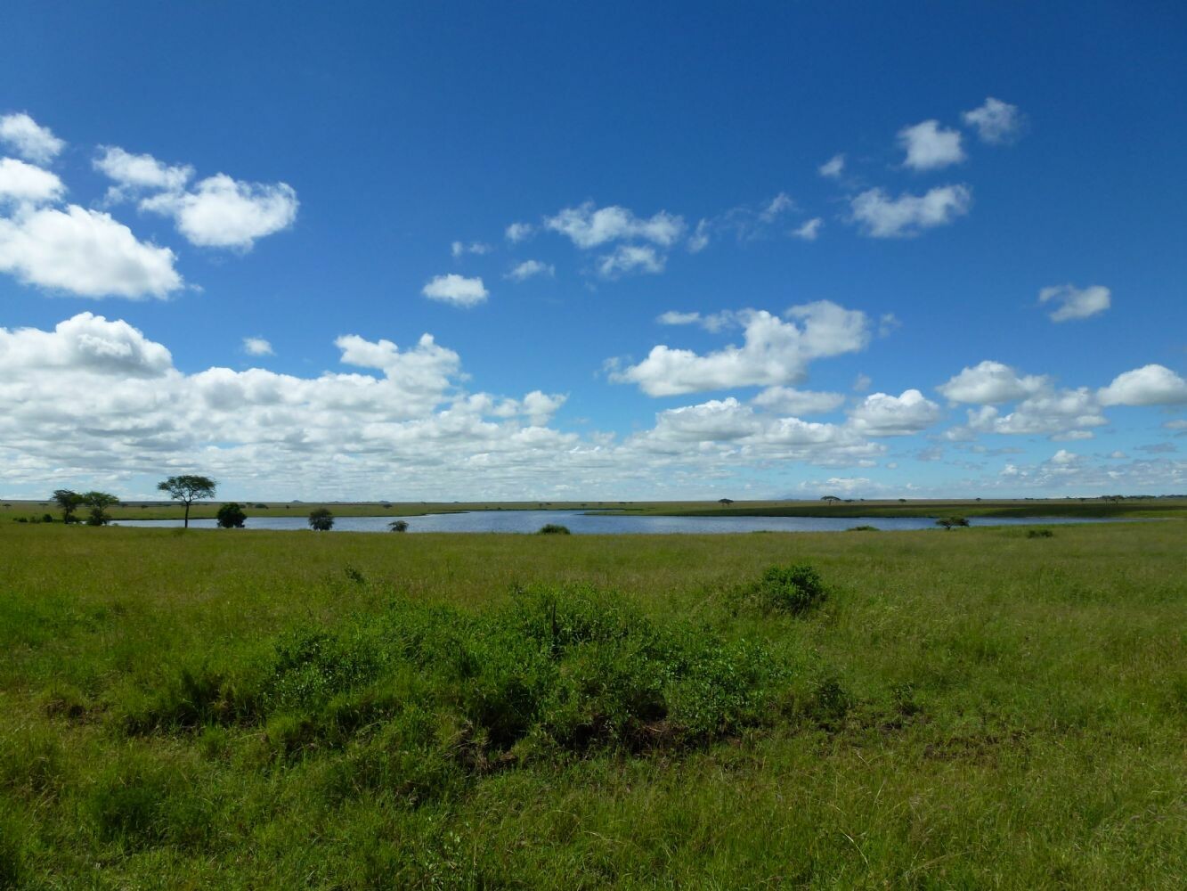Tansania_Zanzibar_2013_285