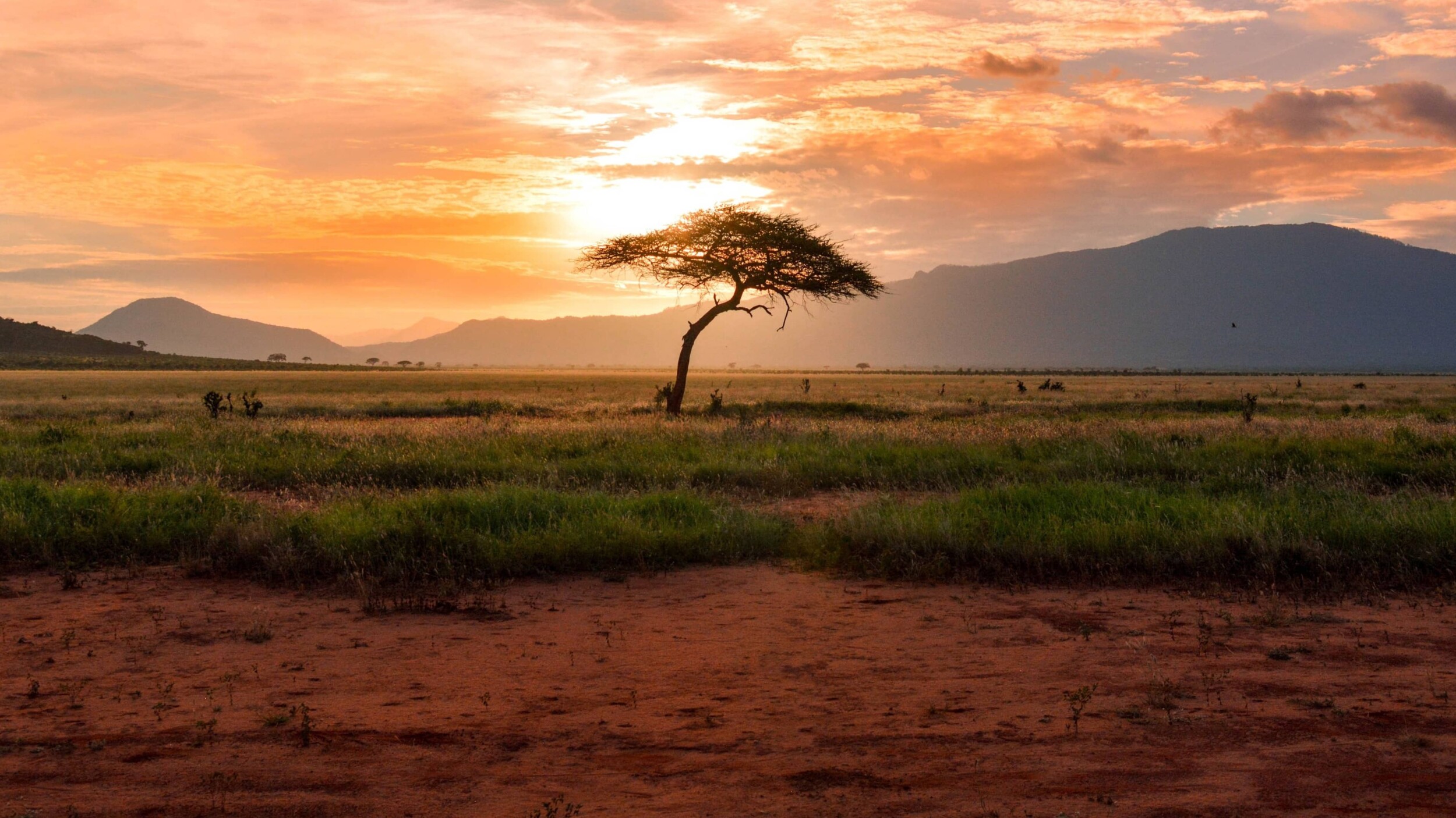Kenia_TsavoOst_damian-patkowski-T-LfvX-7IVg-unsplash