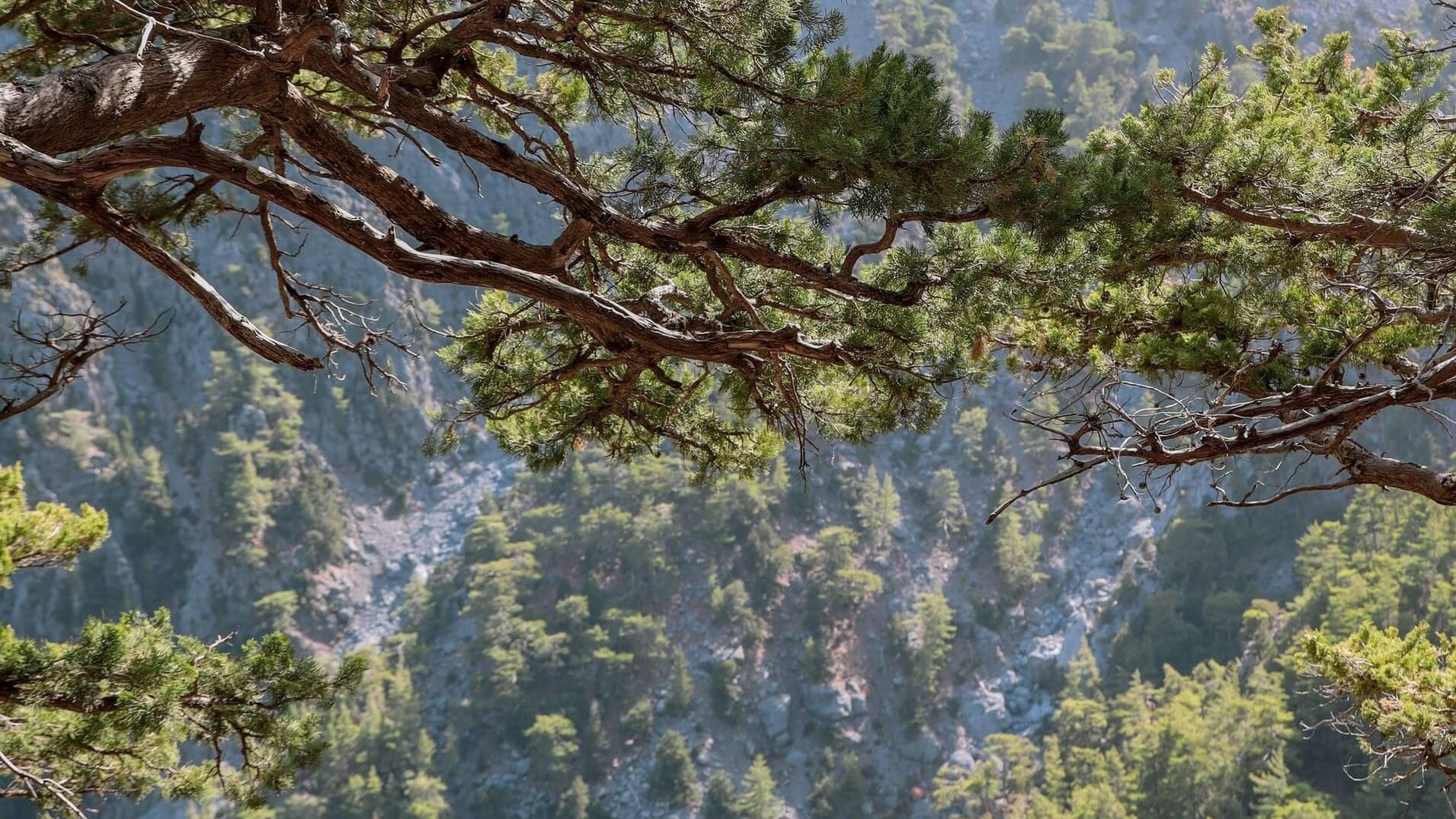 Griechenland_Kreta-Samaria_Schlucht_mor-shani-xUcMqa4I4dc-unsplash_1