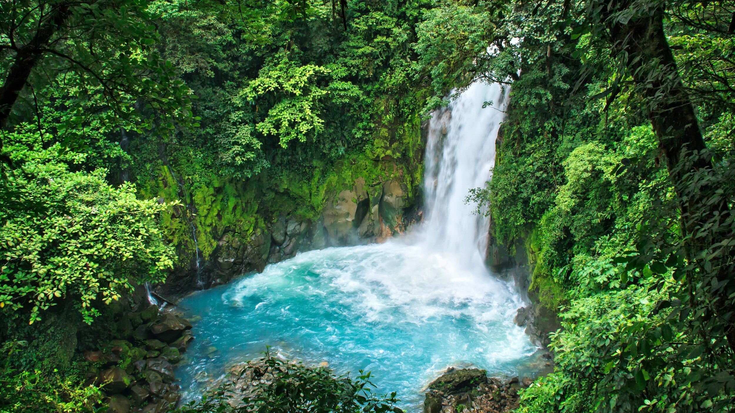 Tenorio_sterlinglanier-lanier-WDBqiHt3tNo-unsplash