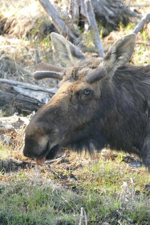 579227wfa_rectangle-768x768-0x0-0x0