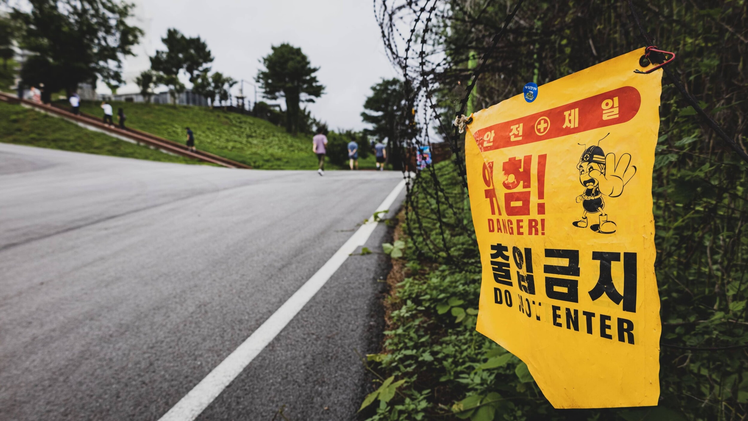 DMZ_photos-of-korea-NI2_5dY4w1w-unsplash