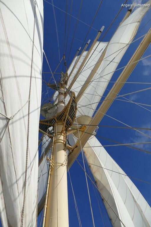 starflyer2015011_rectangle-768x768-0x0-0x0