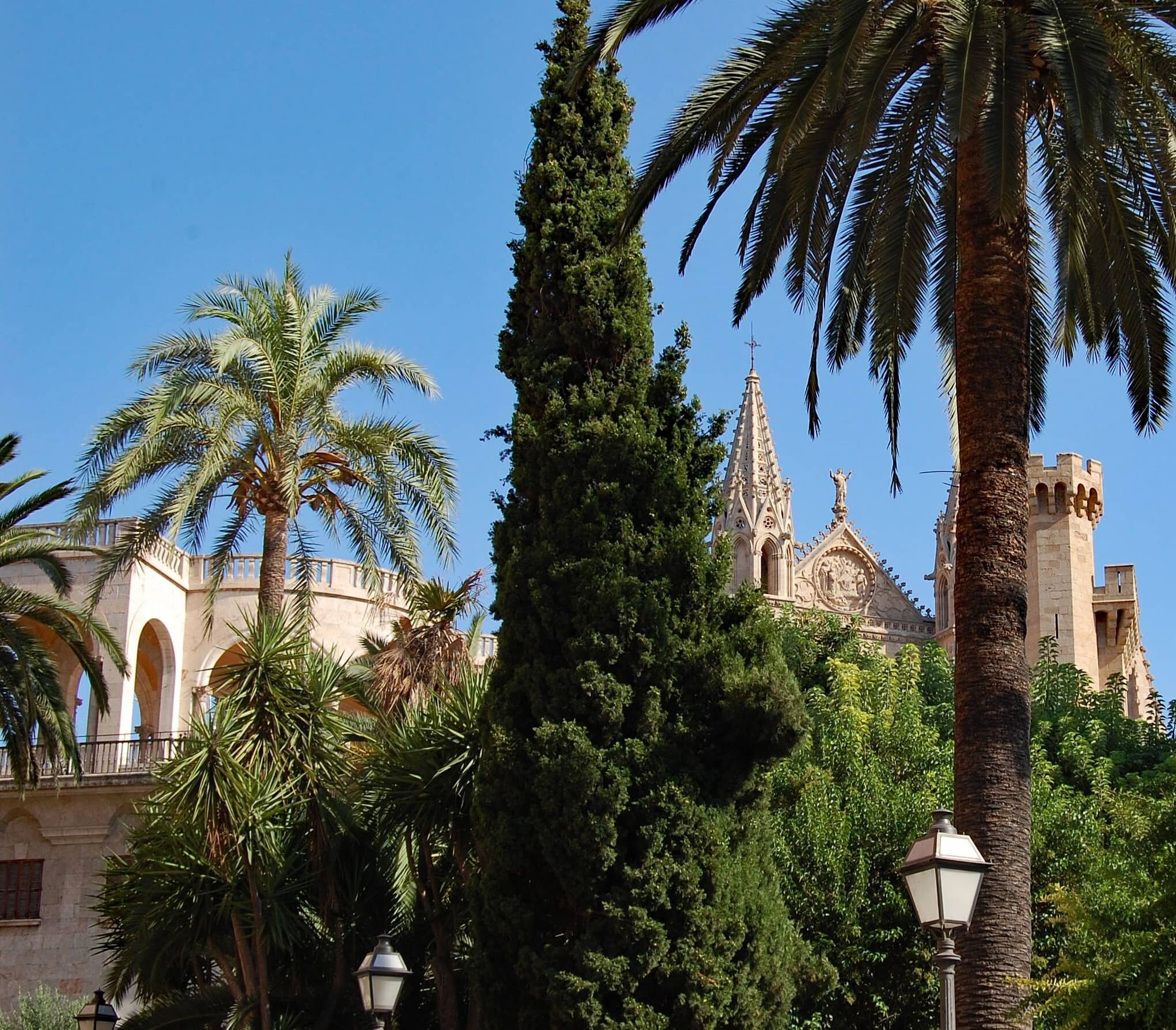 Spanien_Mallorca_Palma_Privatbild_Frey