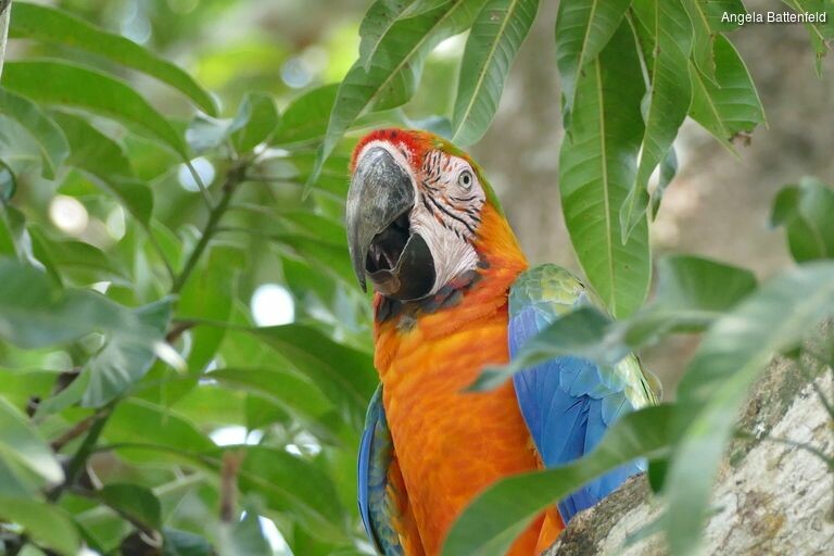 5khb1xb5r_rectangle-768x768-0x0-0x0