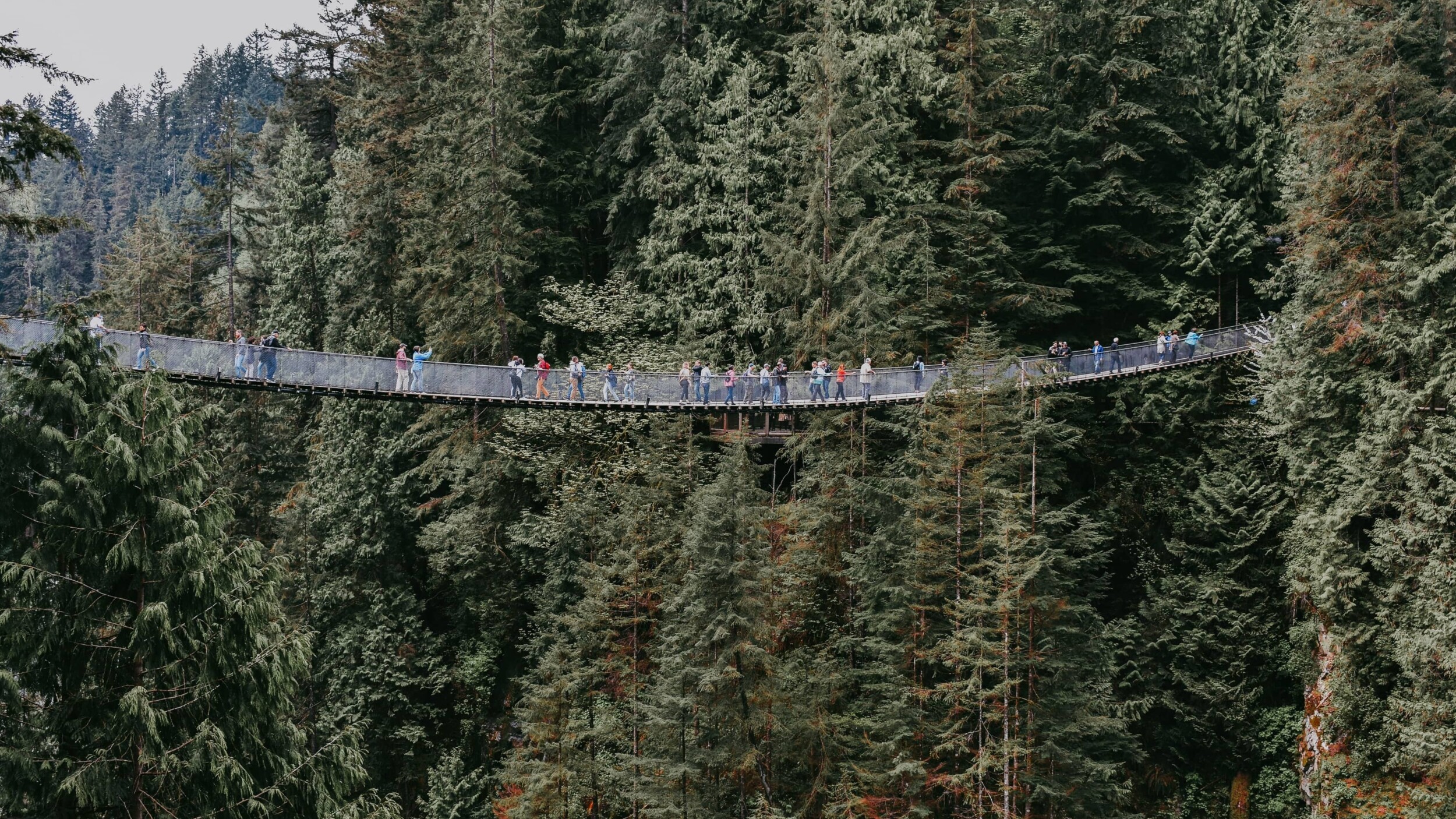 Vancouver_CapilanoBridge_1