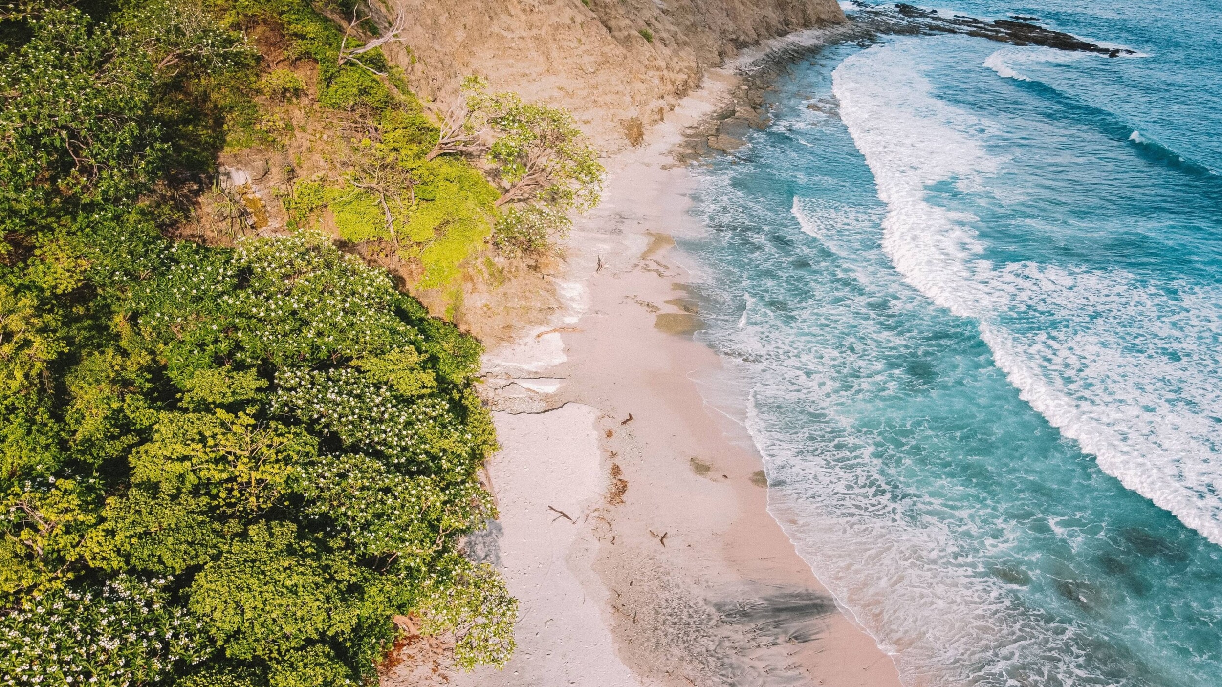 Nicoya_nat-fernandez-r0NYRfDfU8I-unsplash