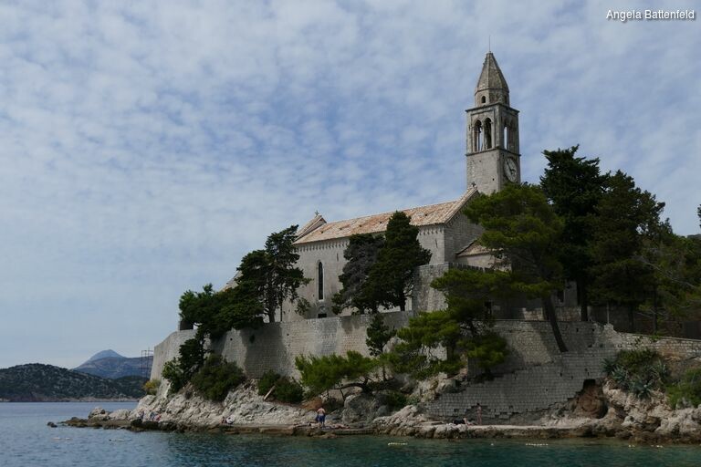 5c56fjcli_rectangle-768x768-0x0-0x0