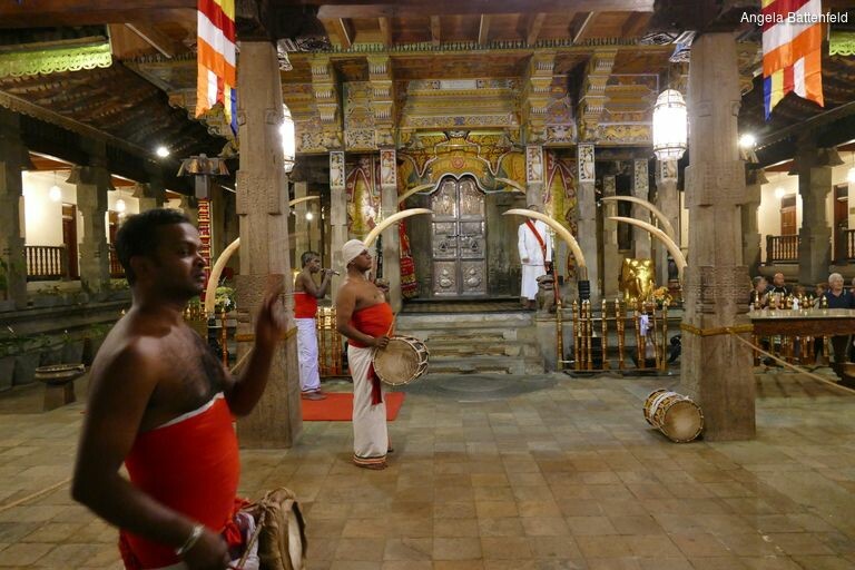 5a52w8d2n_rectangle-768x768-0x0-0x0