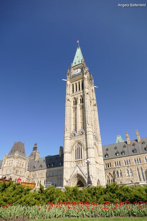 iq3t02sf_rectangle-768x768-0x0-0x0