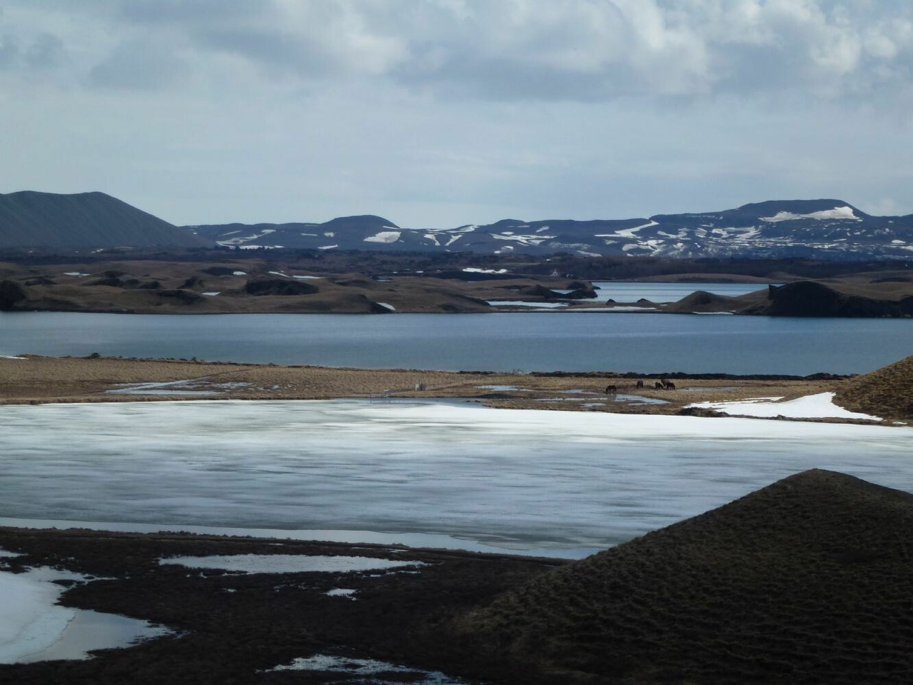 Island_Gruppenreise_2013_101