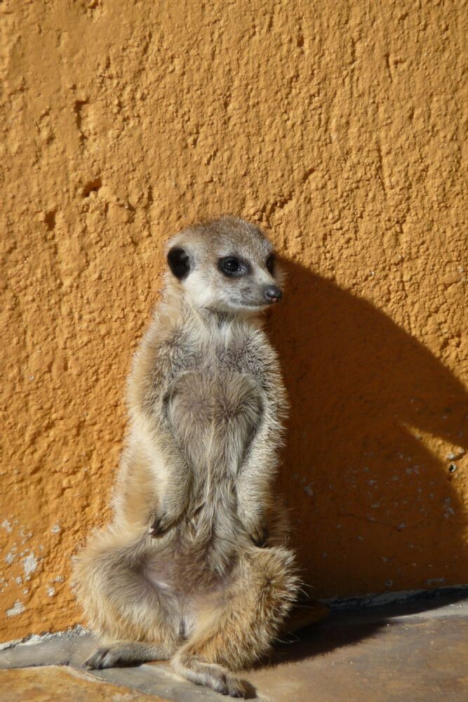 Namibia_15-30_Mai_2010_404b