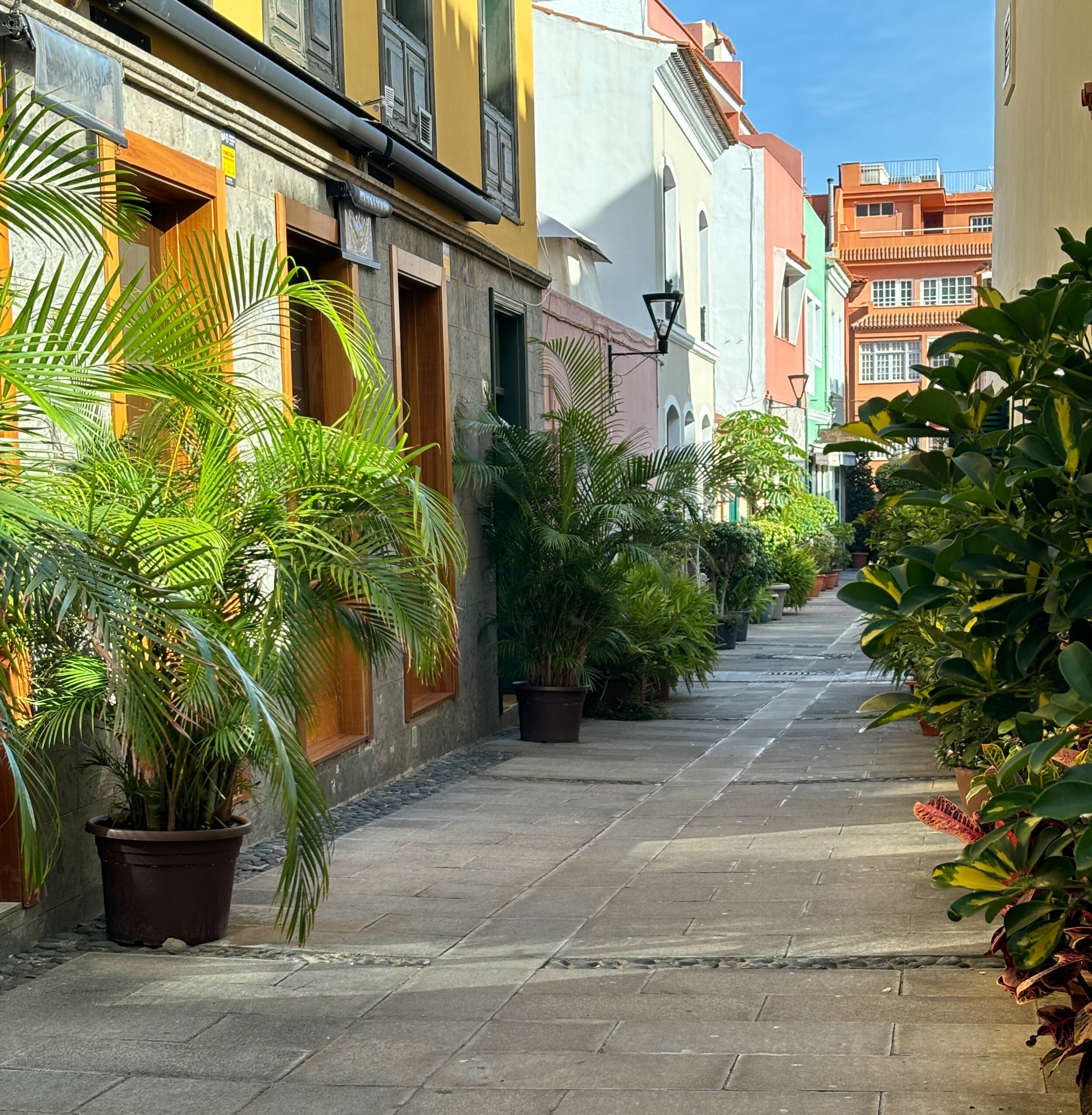 Puerto_de_la_Cruz_brit