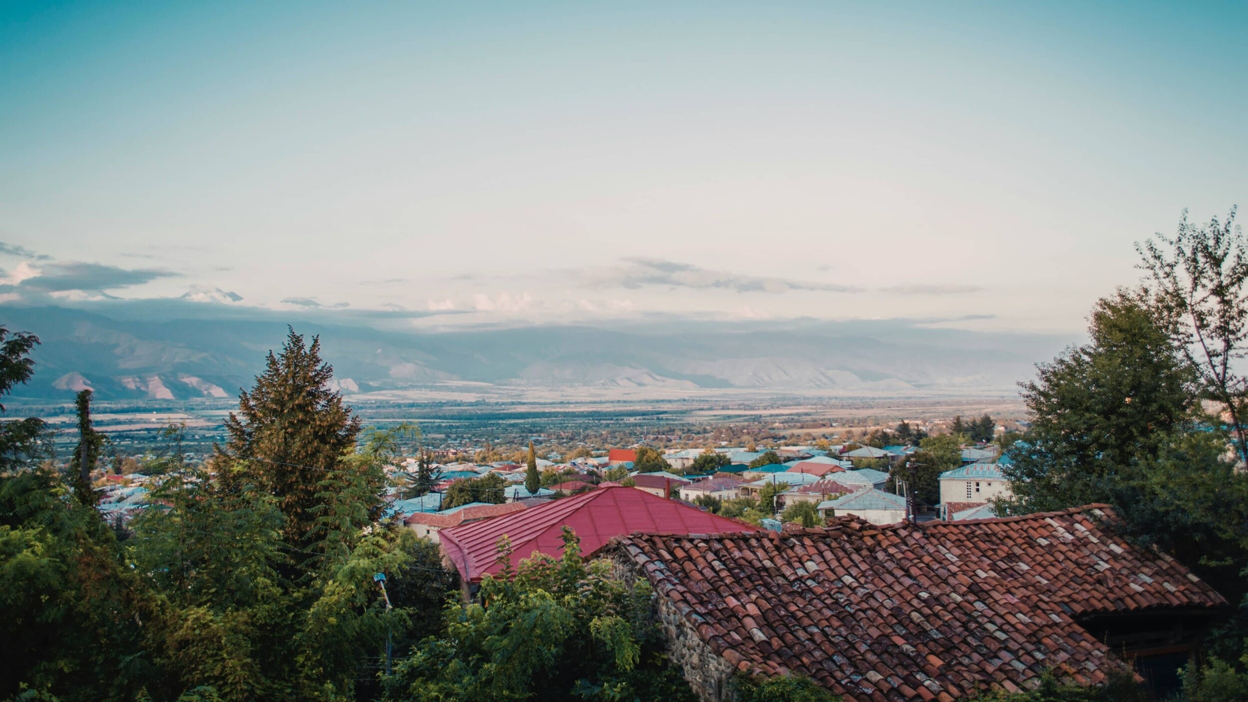 WeinbauTelavi_nika-tabatadze-9LsH4XEduL8-unsplash