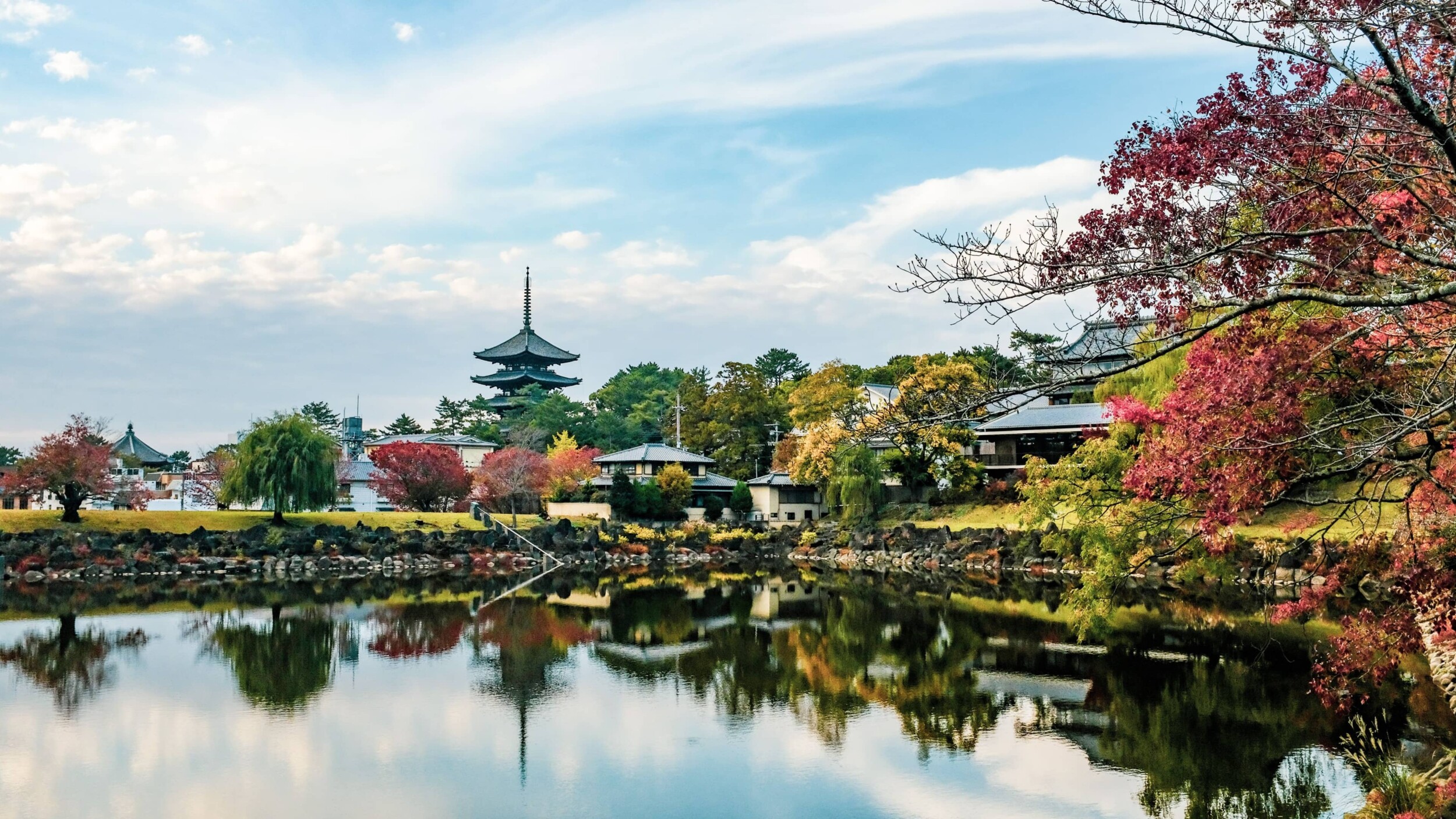 Nara_jo-sorgenfri-4OmQ8pDJ5W0-unsplash