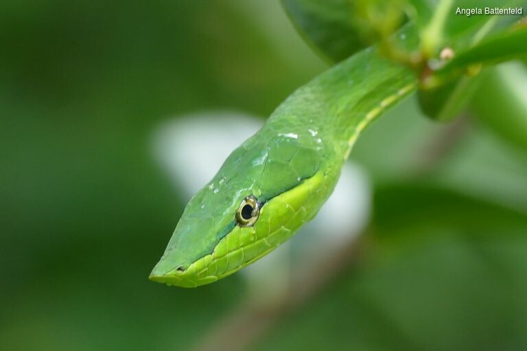 5khb0z4yh_rectangle-768x768-0x0-0x0