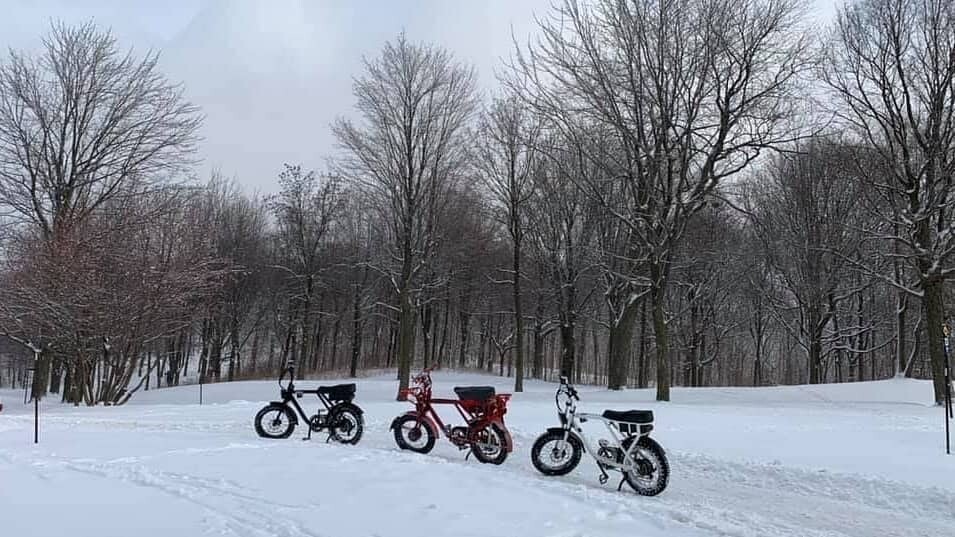 Montreal_EBike_1