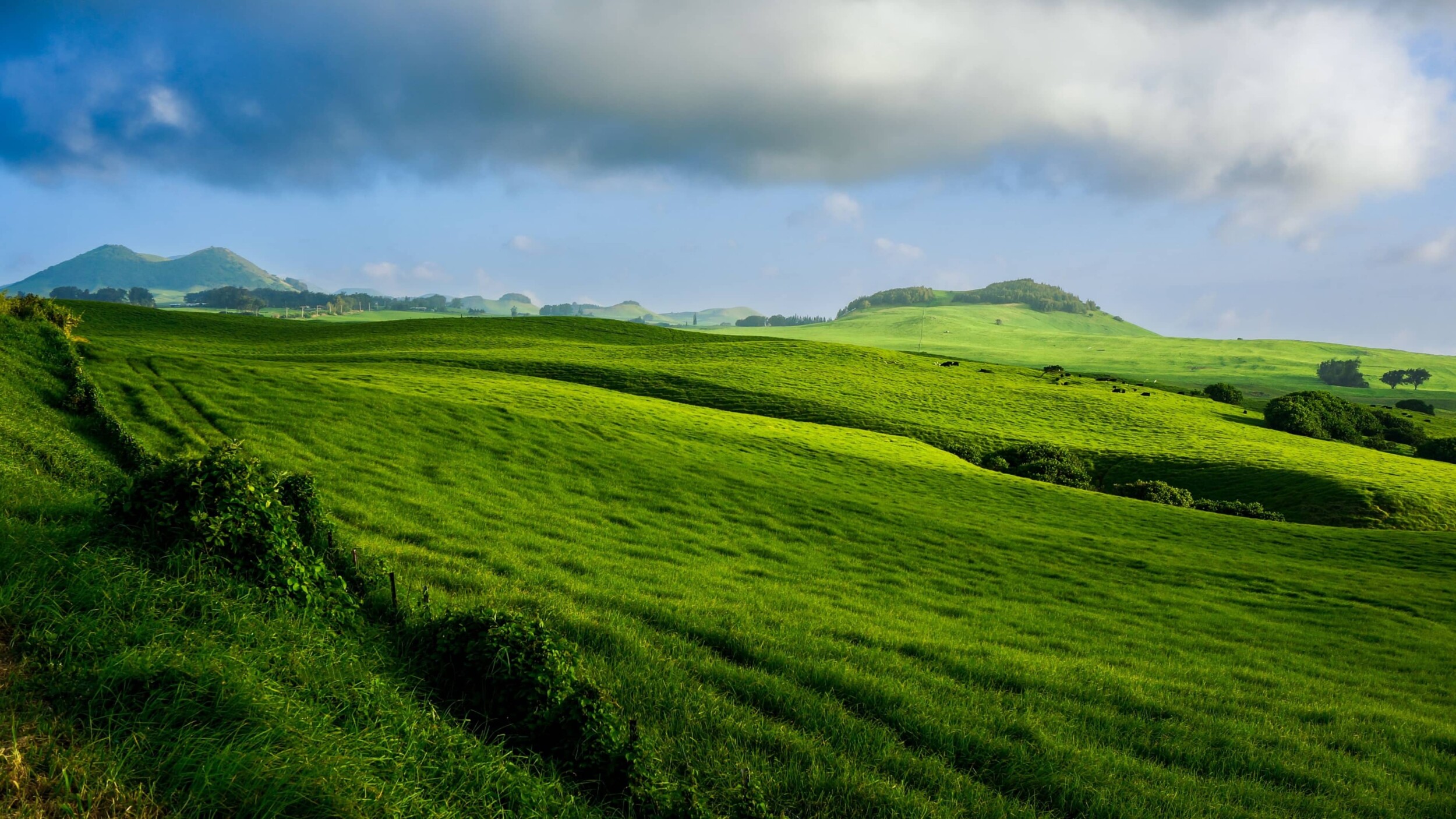 USA_Hawaii_BigIsland_sean-robertson-YF9FxZpoTcs-unsplash