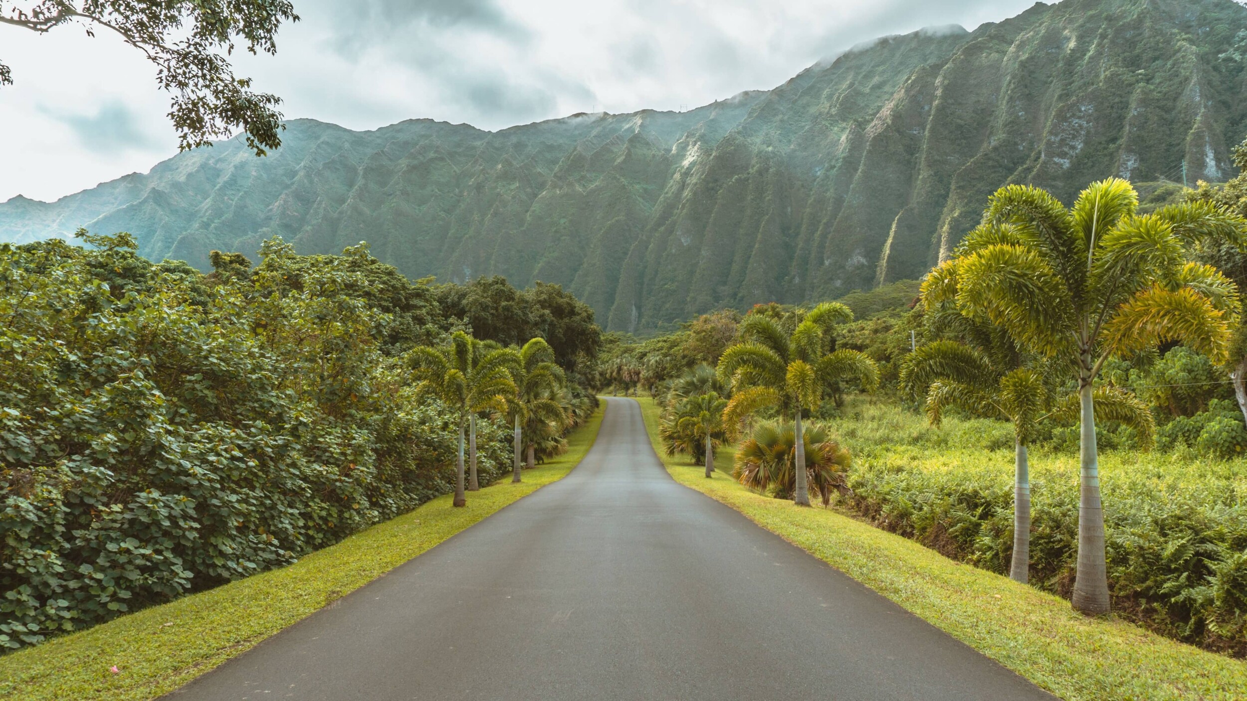 USA_Hawaii_Oahu_darren-lawrence-rffyXd7-4yQ-unsplash