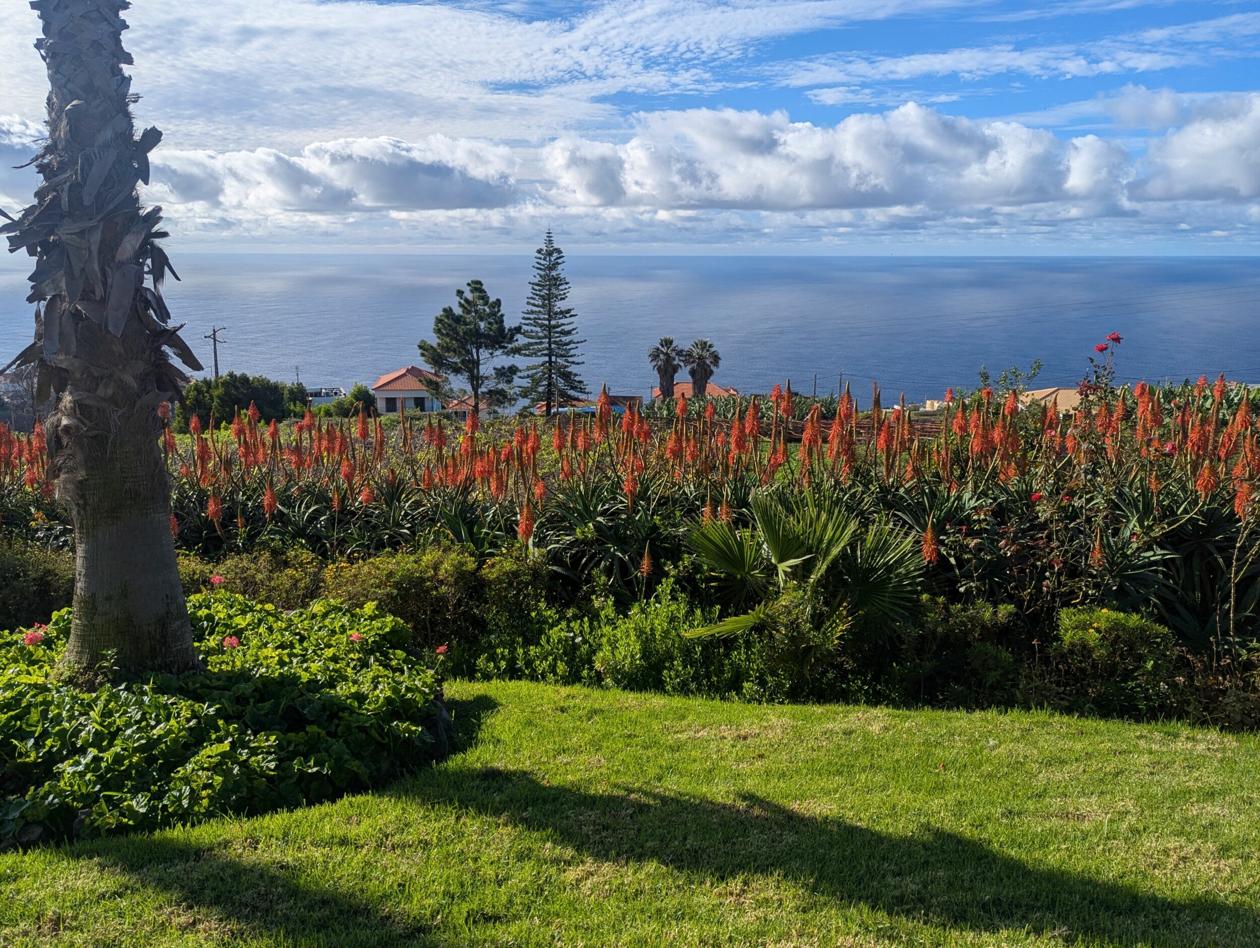 PXL_20241127_101721645_(Bildrecht_Rischar)