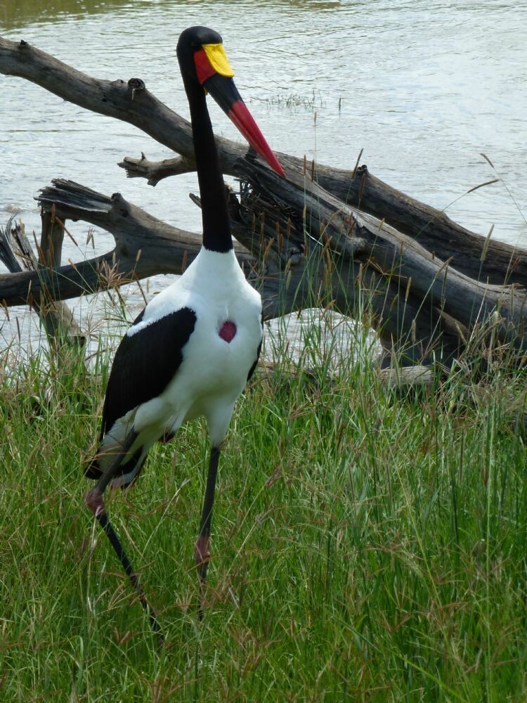 Tansania_Zanzibar_2013_308